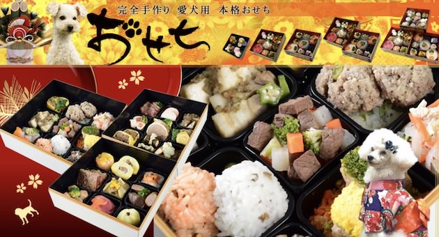 帝塚山ハウンドカム